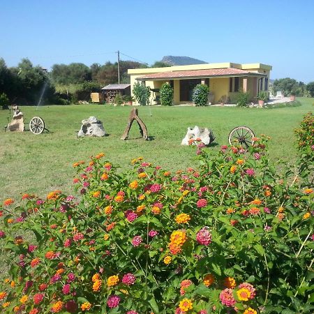 Villa Paola Valledoria  Εξωτερικό φωτογραφία